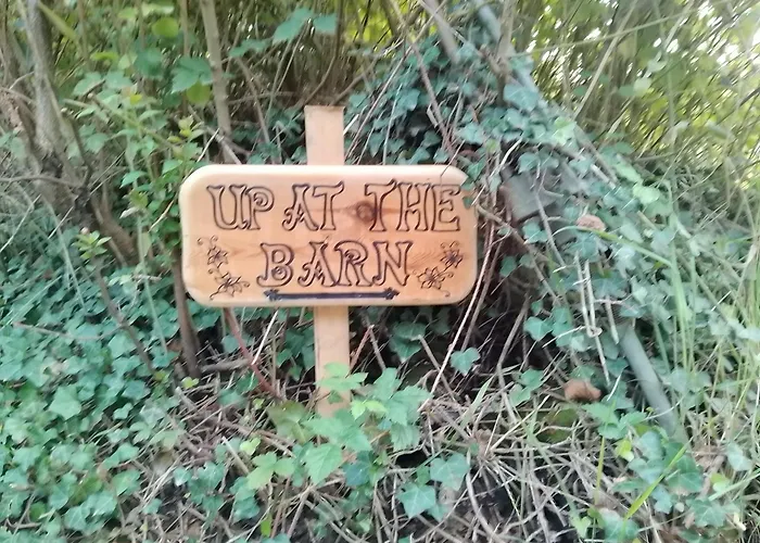 Up At The Barn