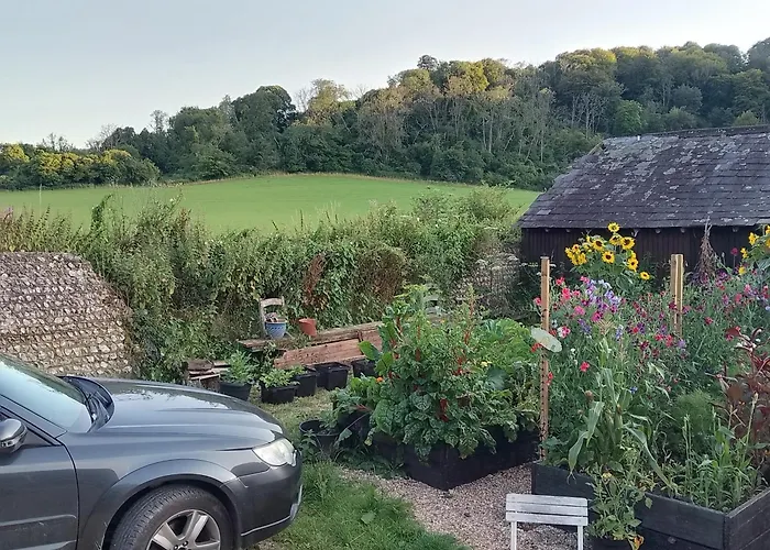 Up At The Barn