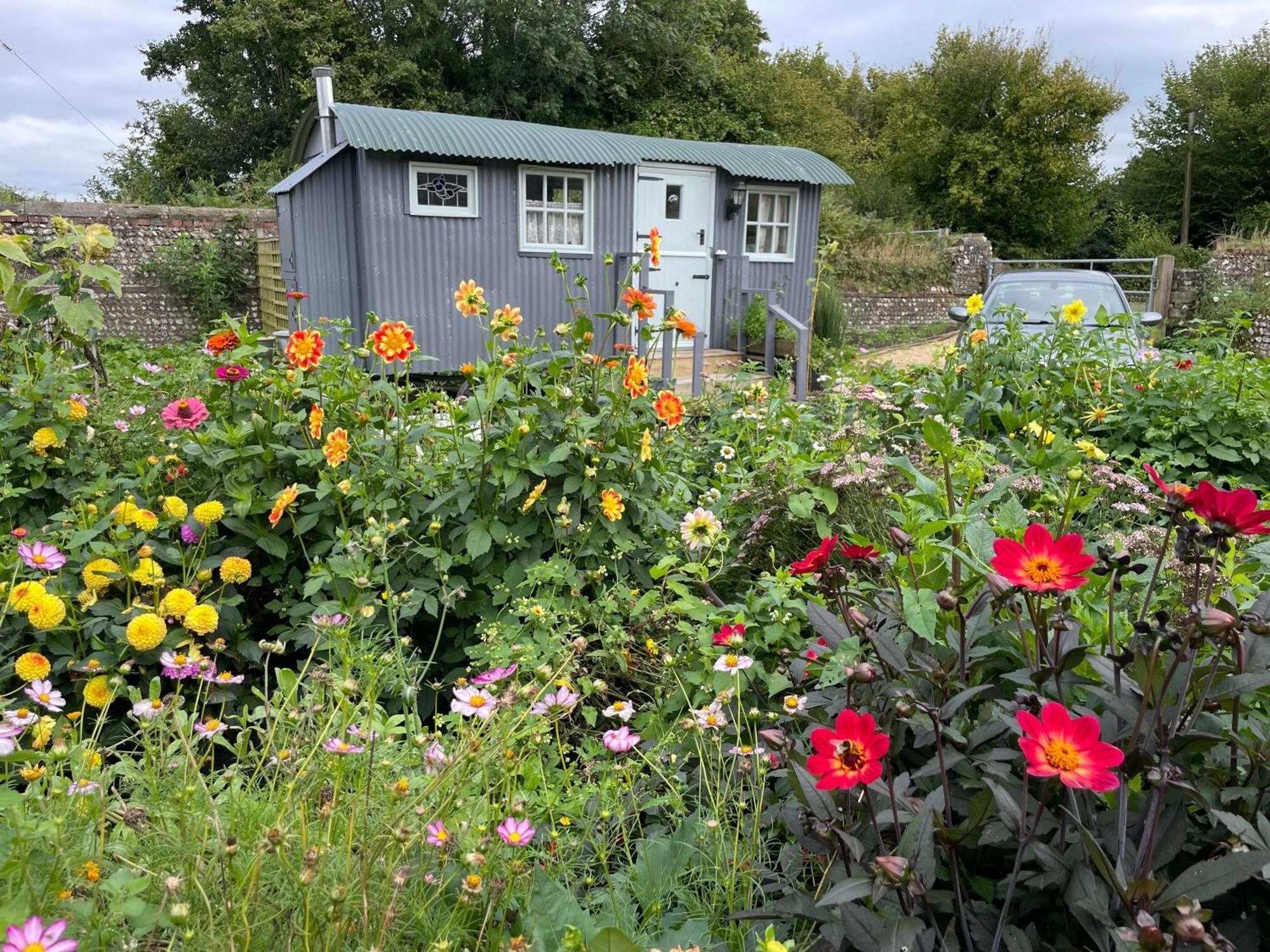 Up At The Barn Luxury tent Petworth