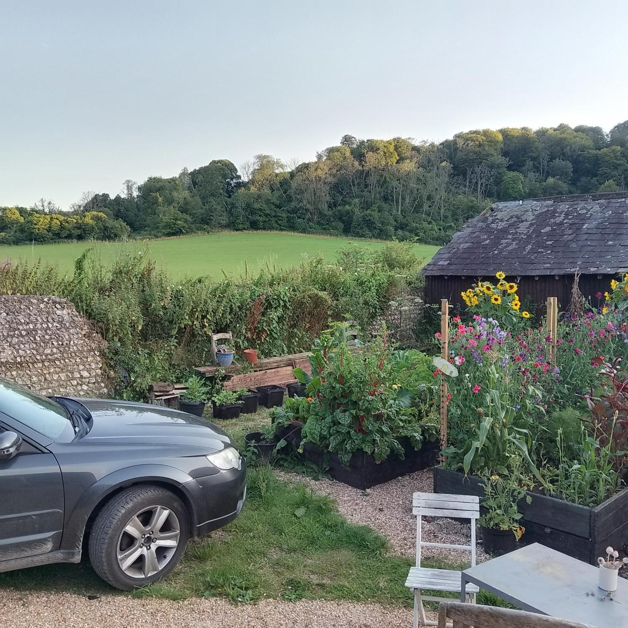 Up At The Barn * Petworth